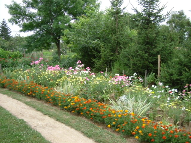 Egy lakó virágoskertje